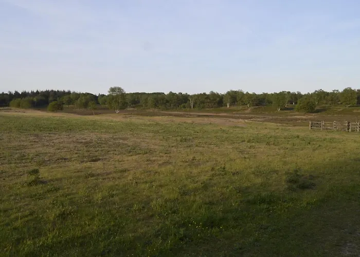 Bosrust Nyaraló Wolfheze