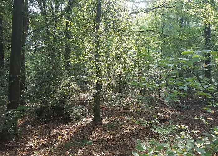 Holiday home Bosrust